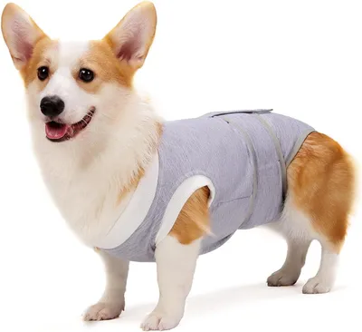 Produktbild von Chirurgisches Erholungspaket Hund, atmungsaktiv, Größe M, Wundschutz für Bauch