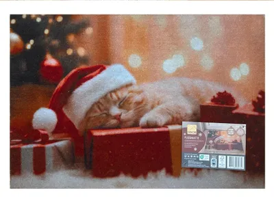 Produktbild von Fussmatte Weihnachten Weihnachtsmotiv Motiv Katze Deko Weihnachtsdeko