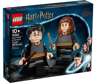 Produktbild von LEGO® Harry Potter™ 76393 Harry Potter™ & Hermine Granger™