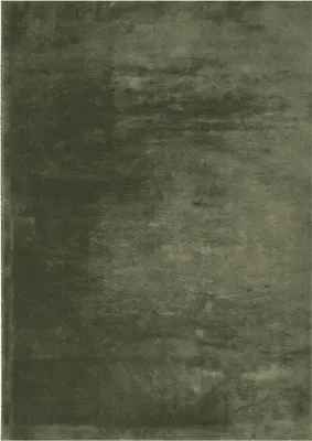 Produktbild von vidaXL Teppich HUARTE Kurzflor Weich und Waschbar Waldgrün 120x170 cm