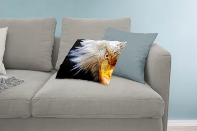 Produktbild von MuchoWow® Zierkissen Sofakissen Wohnzimmer Dekokissen 60x40 cm Vogel - Auge - Schnabel - Kopfkissen - Polster mit Foto