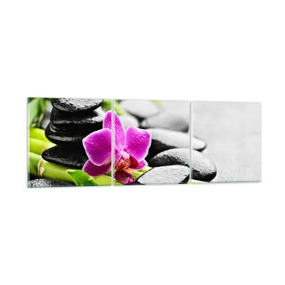 Produktbild von Bilder auf glas - Pflanze Steine Bambus Spa - 150x50cm - Glasbilder - Wandbilder - Kunstdruck - zum Aufhängen bereit - Wanddekoration aus Glas - Glas Bilder - Wandbild auf Glas - GCA150x50-2681