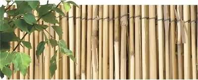 Obrázek produktu pro Nohel Garden Rákosová rohož karbonizovaná 100/150/200 × 5 m, kávová Výška: 1,5 m