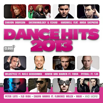 Produktbild von Various-Dance Hits 2013