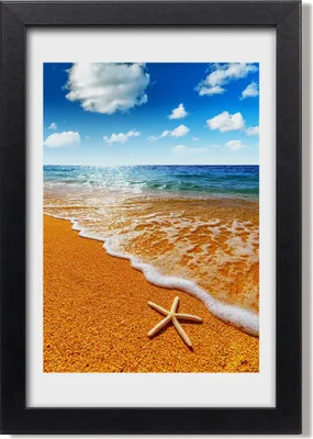 Produktbild von Bild 20x30 MDF-Rahmen, Wandkunst Seestern am Strand