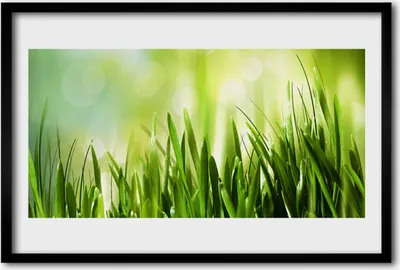 Produktbild von Bild 60x40 MDF-Rahmen Wandkunst Gras Natur