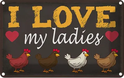 Immagine prodotto di vianmo Insegna di latta 20x30 cm Hühner i love my ladies