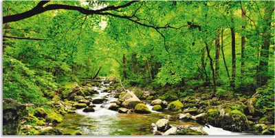 Produktbild von ARTland Wandbild Alu für Innen & Outdoor Herbstwald Fluss Smolny Größe: 60x30 cm