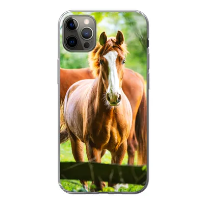 Produktbild von MuchoWow® Handyhülle Schutzhülle Hülle für iPhone 12 Pro Max Pferde - Licht - Wiese Silikon Softcase Handy Hülle - Hartschale