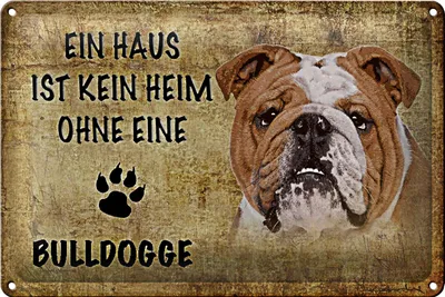 Produktbild von Blechschild Spruch 30x20cm Bulldogge kein Heim ohne Hund