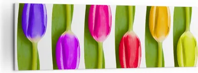 Produktbild von Bild auf Leinwand - Leinwandbild - Tulpe Blume Garten Komposition - 160x50cm - Wand Bild - Wanddeko - Leinwanddruck - Bilder - Kunstdruck - Wanddekoration - Leinwand bilder - Wandkunst - AB160x50-2360