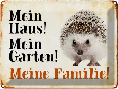Produktbild von vianmo Blechschild 30x40 cm Tiere Igel mein Haus Garten Familie Tier Haustier