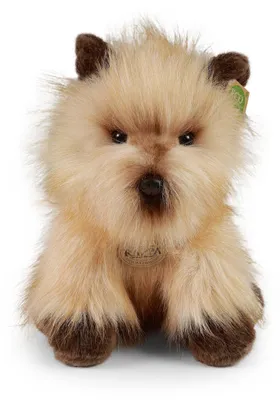 Zdjęcie produktu dla Pluszowy Cairn Terrier 30 cm Ekologiczny