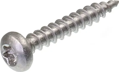 Produktbild von SECCARO Spanplattenschraube Halbrundkopf 4 x 25 mm, Edelstahl V2A VA A2, Holzschraube mit Vollgewinde, TX / Innensechsrund, 250 Stück