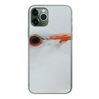 Produktbild von MuchoWow® Handyhülle Schutzhülle Hülle für iPhone 11 Pro Nahaufnahme einer weißen Taube Silikon Softcase Handy Hülle - Handy