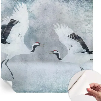 Produktbild von Selbstklebende Wandtapete - Dekorative Tapete für Wohnzimmer - Klebefolie für Wandbilder - Tapetenfolie für Wanddekoration - 250x250 cm - Harmonische Kraniche