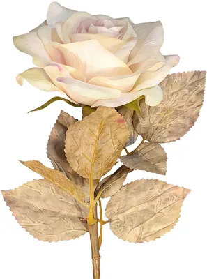 Produktbild von Clayre & Eef 5PL0373W Dekorativer Zweig mit Blumen Weiß 63 cm