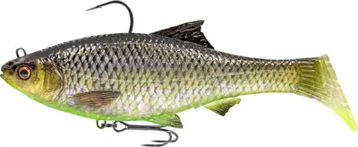 Obrázek produktu pro Savage Gear 3D Roach RTF (Hugo)
