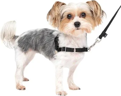Produktbild von Famanu Hundegeschirr Anti-Ziehen – Komfortables Trainingsgeschirr für tägliche Spaziergänge