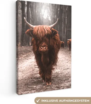 Produktbild von MuchoWow® - Leinwandbilder - Schottischer Highlander - Tier - Nahaufnahme, Wandbild, Wanddeko Bilder Wohnzimmer, 40x60 cm