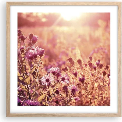 Produktbild von Gerahmtes Poster - Rahmen in heller Eiche - Wiese Blumen Sonne - 50x50 cm - Wand Bild - Wanddeko - Wandbilder - Kunstposter - Wandposter - Bilderrahmen - Bilder - Kunstdruck - P2NAC50x50-4819