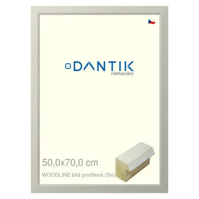 Obrázok produktu pre Rám DANTIK 50x70 | WOODLINE biely dierovaný (plexisklo číre)