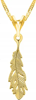 Immagine prodotto di Collana d'oro con piuma, argento 925