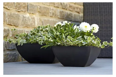 Produktbild von Pflanzschale zum Bepflanzen – Eckige Blumenschale aus Kunststoff – Winterfest (Groß: 40x40x18cm, Anthrazit)