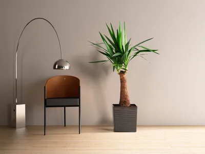 Obrázok produktu pre LAMELA spolka z organiczona odpowiedzi. Obal JUKA VRUB - antracit 400x400 mm 38 cm