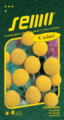 Produktbild von Semo Kraspédie - Billy Buttons 0,1 g