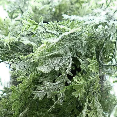 Produktbild von Weihnachtsdeko Zypressenkranz Grün weiß gefrostet Ø 50 cm - Kunststoff