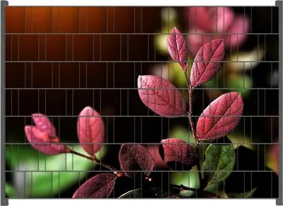 Produktbild von Wallario Zaunsichtschutz mit Motiv Rote und grüne Blätter an einem Zweig für Ein- und Doppelstabmatten Zäune in der Größe 200 x 140 cm