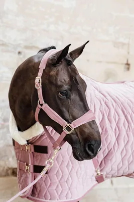 Image de Kentucky Horsewear Longe de présentation Basic rose ancien
