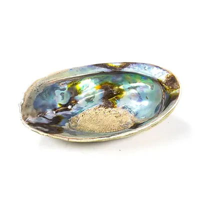 Zdjęcie produktu dla Tęczowy Abalone (paua) Haliotis Iris - 12,5 - 15,5 cm