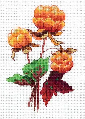 Obrázok produktu pre Klart, výšivací set "Cloudberry", 10,5 x 14 cm, motív na výšivku