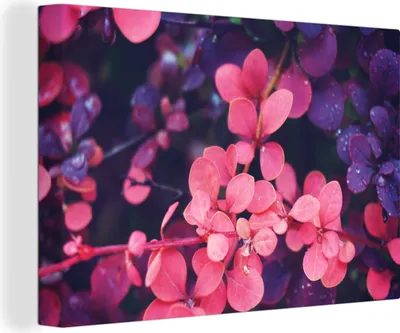 Obrázek produktu pro OneMillionCanvasses® Malba na plátně Nástěnná malba na plátně - Květiny - Fialová - Příroda - 150x100cm