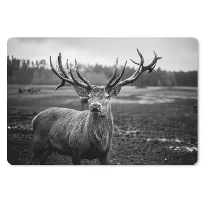 Produktbild von MuchoWow® Schreibtischunterlage Tiere - Hirsch - Geweih - Schwarz und weiß - Natur 60x40 cm - XXL Mauspad - Großes Mauspad