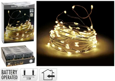 Image de Guirlande lumineuse 100 LED