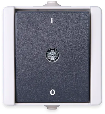 Obrázek produktu pro Kopp 540256000, Kolébkový spínač, 2P, Termoplastik, Šedá, IP44, 250 V