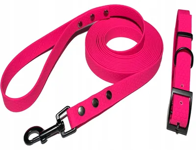 Produktbild von MyPetShop Biothane Wasserdichte Trainingsleine 3m + Halsband