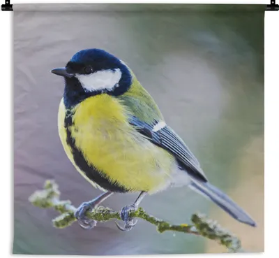 Produktbild von MuchoWow® Wandteppich Wandbehang Kohlmeise - Vogel - Zweig 90x90 cm Tapisserie Dekoration Wandtuch - Wandaufhänger
