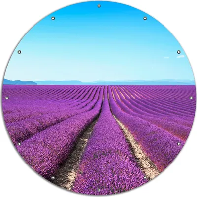 Produktbild von Wallario rundes Outdoor-Poster für Garten oder Balkon, Motiv Lavendelfeld unter blauem Himmel, 120 cm Durchmesser