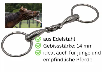 Produktbild von AMKA Wassertrense doppelt gebrochen Edelstahl massiv Stärke 14 mm, Ringe 65 mm, Größe:135mm