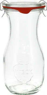 A clear glass jar with a red rubber seal and metal clasps.