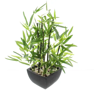 Productafbeelding van Deko-bambus in pot, 45 cm hoog, kunstplant, siergras