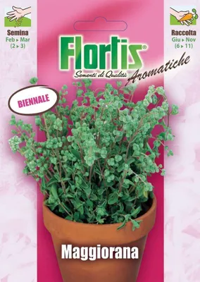 Produktbild von Majoran | Majoransamen von Flortis [MHD 12/2026]