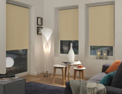 Immagine prodotto di Gardinia EASYFIX tenda a rullo Thermo ENERGY-SAVING 345 naturale 75 x 150 cm