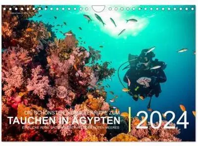 Immagine prodotto di Die schönsten Korallenriffe zum Tauchen in Ägypten (Wandkalender 2024 DIN A4 quer), CALVENDO Monatskalender: Einblicke in die Unterwasserwelt des Roten Meeres (CALVENDO Sport)