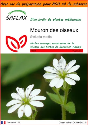Image de SAFLAX Garden in the bag - Mouron des oiseaux - 1000 graines - Stellaria