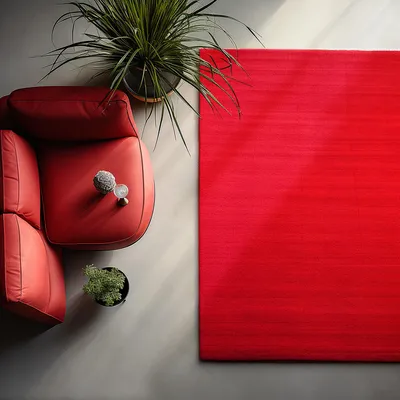 Produktbild von Homebyhome Waschbarer Kurzflor Teppich - Rutschfest, Einfarbig & Weich im modernen Stil, Grösse: 200x290 cm